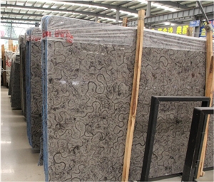 Oracle Marble Black Oracle Turtle Venato Big Slab Tile