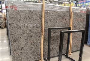 Oracle Marble Black Oracle Turtle Venato Big Slab Tile