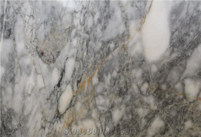 Forest Gray Marble in China,Tile and Big Slab,Floor and Wall Use,Own Quarry Natural Stone with Ce Certificate,Direct Factory Cheap Price a Grade