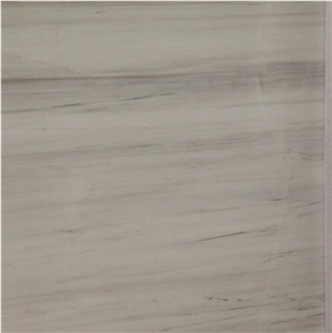 Star White Marble Fish Maw Polar White Polished Slab Tile