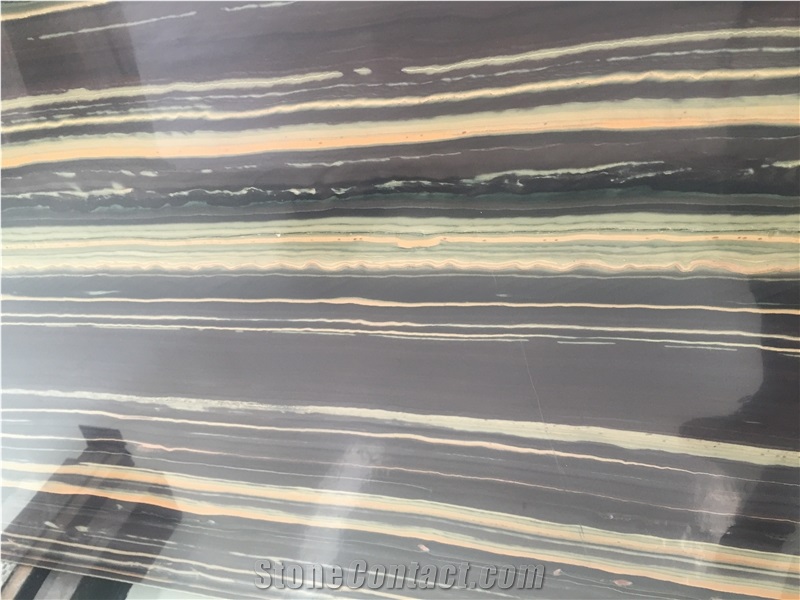 Black and Gold Veins Natural Quartzite Slabs for Floor Wall Tiles Covering Pattern
