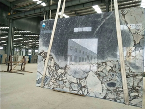 Titanic Storm Marble Slabs, Veins Black & Brown Marble