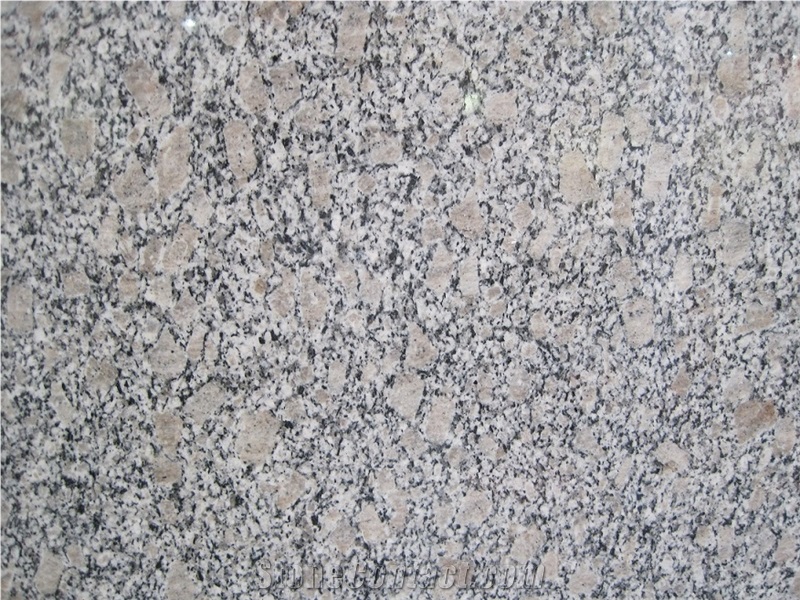 Cheap Price Grey Stone, G383 Granite, Zhaoyuan Pearl Flower Granite, Polished Granite Slab, Granite Floor Tile, Step, China Natural Stone