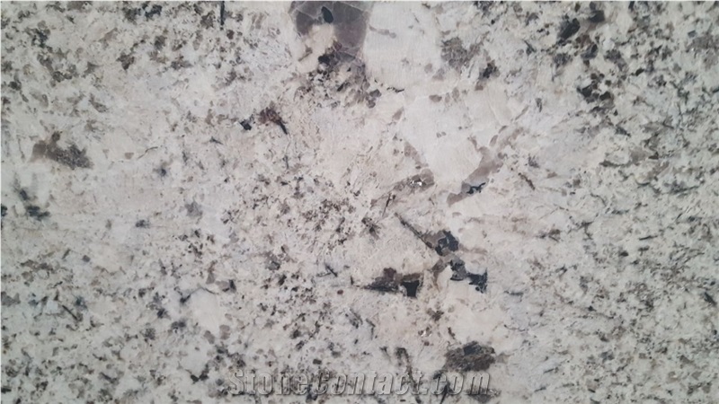 Oyster Pearl Granite Slabs & Tiles, India White Granite