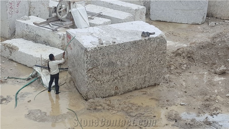 Oyster Pearl Granite Slabs & Tiles, India White Granite