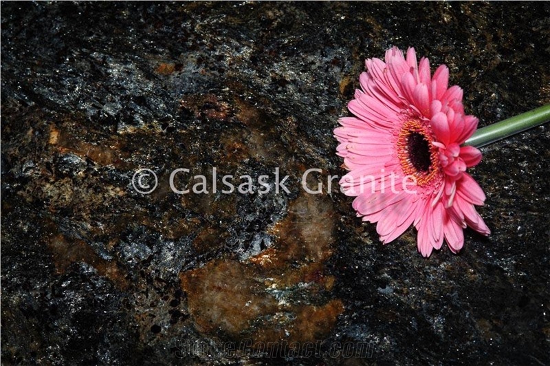 Exotic Brazil Granite Slabs
