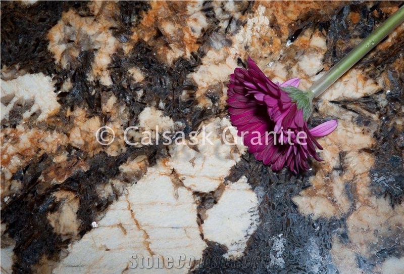 Exotic Brazil Granite Slabs