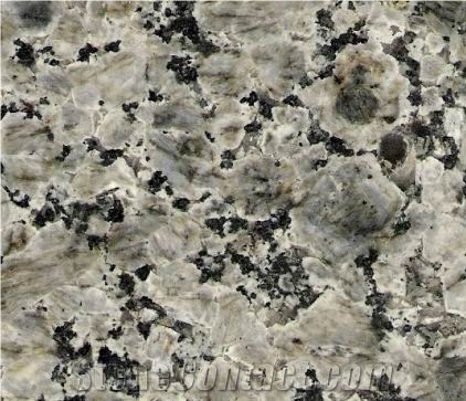 Blue Leopard Granite,Blue Leopard Green Granite Slabs & Tiles, China Green Granite,Cheap Blue Leopard Granite Tiles for Flooring Paving