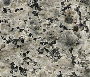 Blue Leopard Granite,Blue Leopard Green Granite Slabs & Tiles, China Green Granite,Cheap Blue Leopard Granite Tiles for Flooring Paving