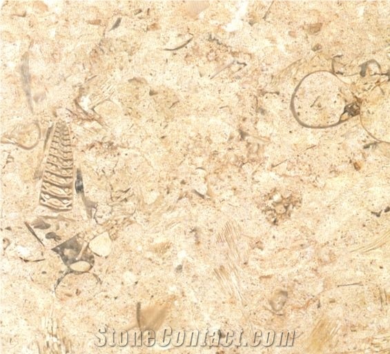 New Svevo, Marble Tiles & Slabs, Marble Skirting, Marble Wall Covering Tiles, Marble Floor Covering Tiles, Egypt Brown Marble