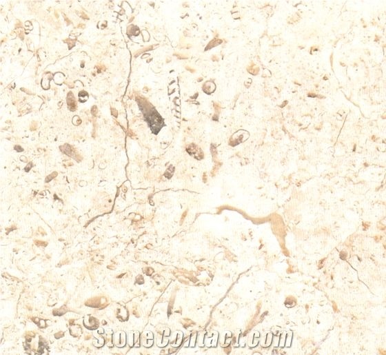 Roman Golden Marble Tiles & Slabs, Marble Skirting, Marble Wall Covering Tiles, Marble Floor Covering Tiles, Israel Yellow Marble
