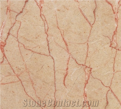 Rosso Filetto Marble Tiles & Slabs, Marble Skirting, Marble Wall Covering Tiles, Marble Floor Covering Tiles, Egypt Red Marble