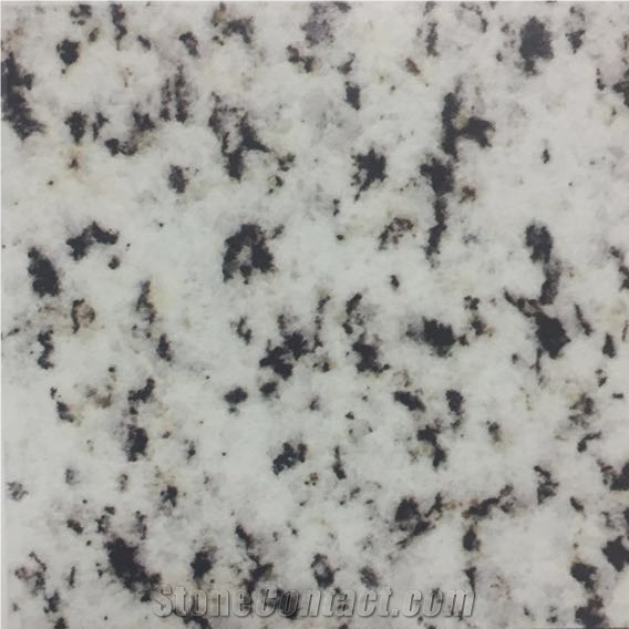 Bianco Halayeb Granite Slabs Egypt