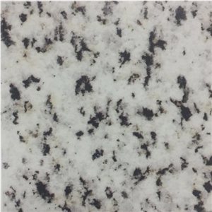 Bianco Halayeb Granite Slabs Egypt Bianco Halayeb Granite Slabs Egypt