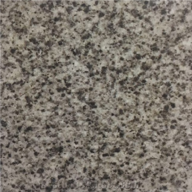 Grey Aswan Granite Slabs