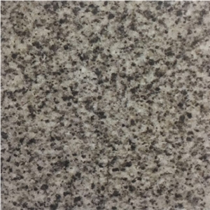 Grey Aswan Granite Slabs Grey Aswan Granite Slabs