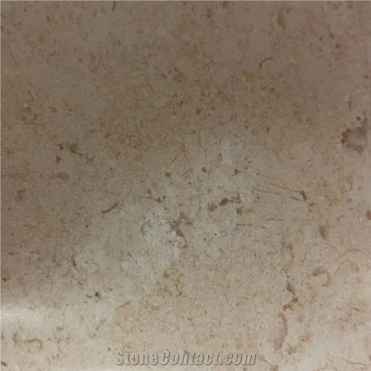 Triesta Limestone Slabs Tiles, Egypt Beige Limestone