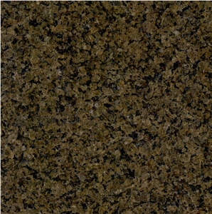 Desert Brown