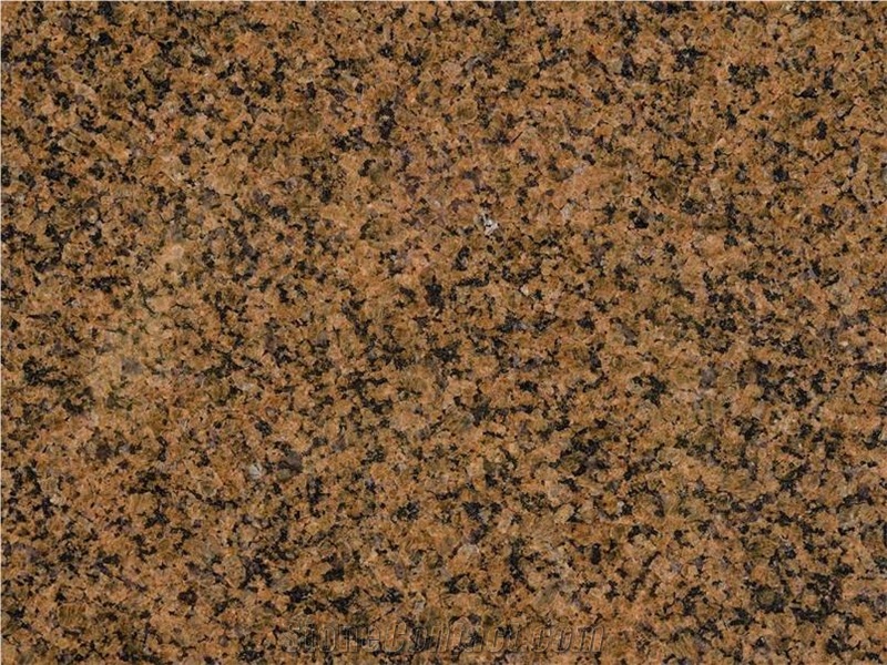 Desert Brown