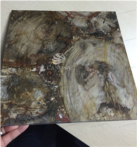 Petrified Wood Growth Ring Texture Slab for Table Top and Surface