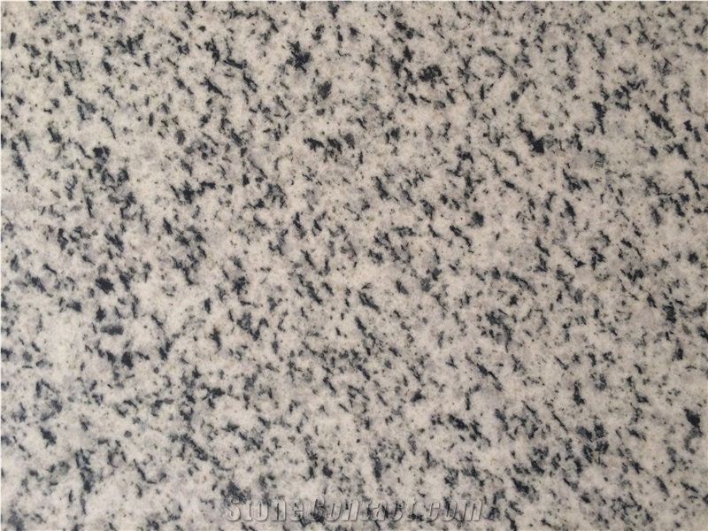 Bianco Halayeb Granite Tiles