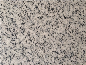 Bianco Halayeb Granite Tiles
