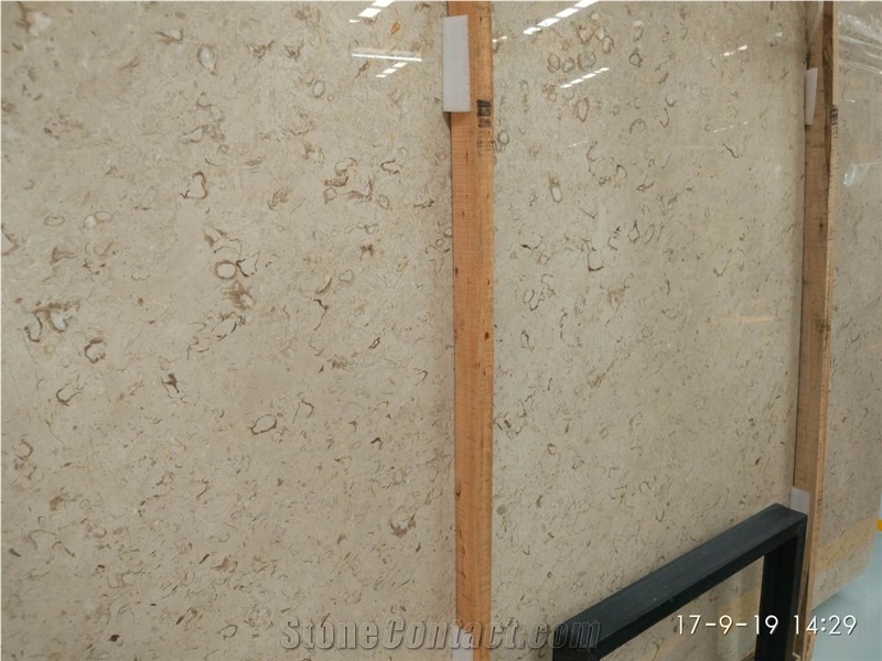 Best Discount Iran Cream Fossil Beige Limestone Tiles Slabs Panel Cuts for Flooring Limestone Wall Covering Shell Limestone French Opus Pattern Gofar