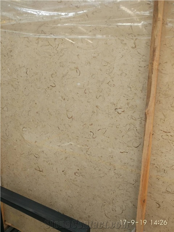 Best Discount Iran Cream Fossil Beige Limestone Tiles Slabs Panel Cuts for Flooring Limestone Wall Covering Shell Limestone French Opus Pattern Gofar