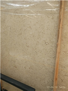 Best Discount Iran Cream Fossil Beige Limestone Tiles Slabs Panel Cuts for Flooring Limestone Wall Covering Shell Limestone French Opus Pattern Gofar