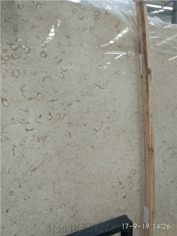 Best Discount Iran Cream Fossil Beige Limestone Tiles Slabs Panel Cuts for Flooring Limestone Wall Covering Shell Limestone French Opus Pattern Gofar
