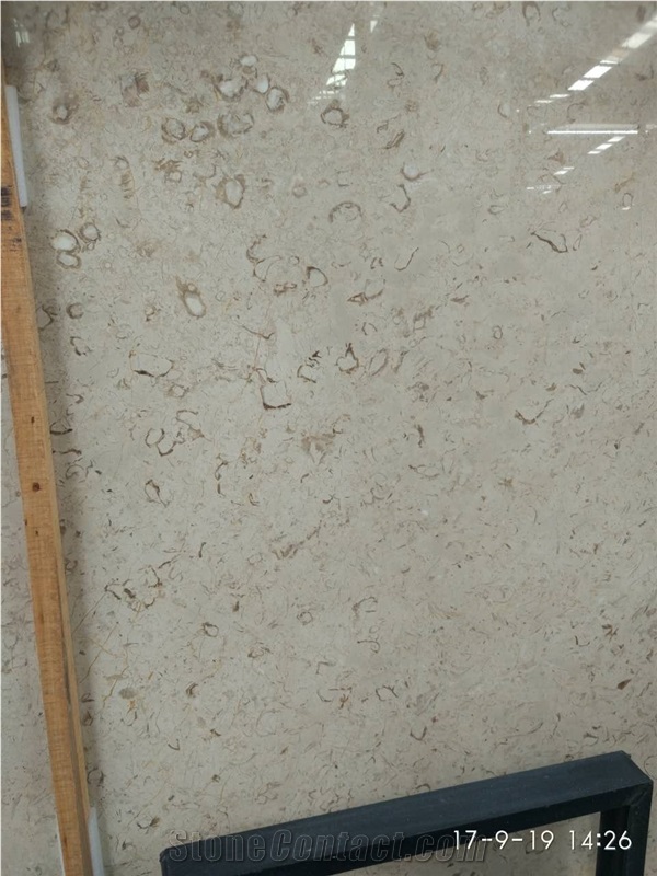 Best Discount Iran Cream Fossil Beige Limestone Tiles Slabs Panel Cuts for Flooring Limestone Wall Covering Shell Limestone French Opus Pattern Gofar