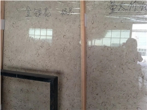 Best Discount Iran Cream Fossil Beige Limestone Tiles Slabs Panel Cuts for Flooring Limestone Wall Covering Shell Limestone French Opus Pattern Gofar