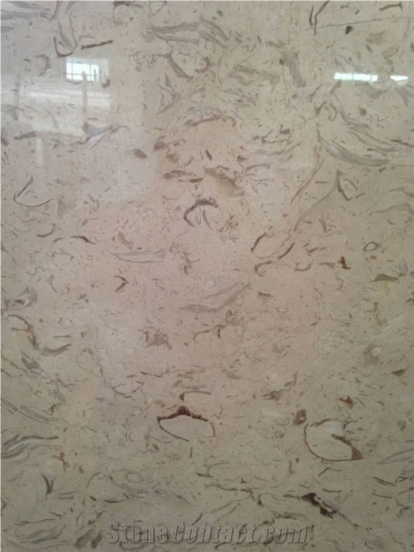 Best Quality Iran Cream Fossil Beige Limestone Tiles Slabs Panel Cuts for Flooring Limestone Wall Covering Shell Stones Limestone French Pattern Gofar