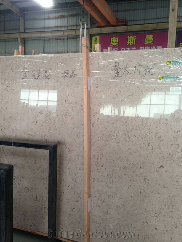 Best Quality Iran Cream Fossil Beige Limestone Tiles Slabs Panel Cuts for Flooring Limestone Wall Covering Shell Stones Limestone French Pattern Gofar