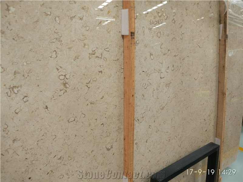 Best Quality Iran Cream Fossil Beige Limestone Tiles Slabs Panel Cuts for Flooring Limestone Wall Covering Shell Stones Limestone French Pattern Gofar