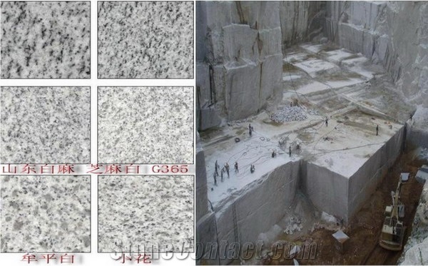 Discount Shandong White Sesame Granite Tiles Slabs Cut for Granite Wall Covering, Granite Floor Covering Granite Wall Tiles Granite Pattern Gofar