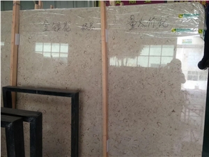 Polished Iran Cream Fossil Beige Limestone Tiles Slabs Panel Cuts for Flooring Limestone Wall Covering Shell Stones Limestone French Pattern Gofar