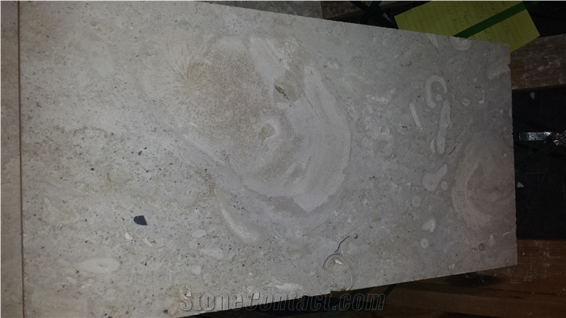 White Coral Stone Tiles, Boca Chica Coral Stone