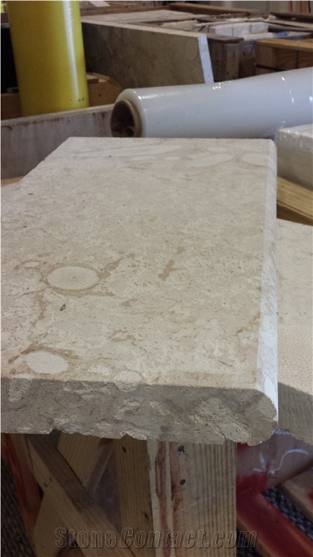 Dominican White Coral Pool Coping, Full Bull Nose