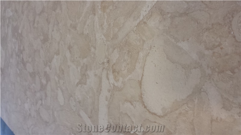 Dominican White Coral Pool Coping, Full Bull Nose