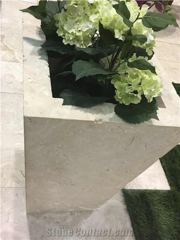 Dominican White Coral Stone Planter