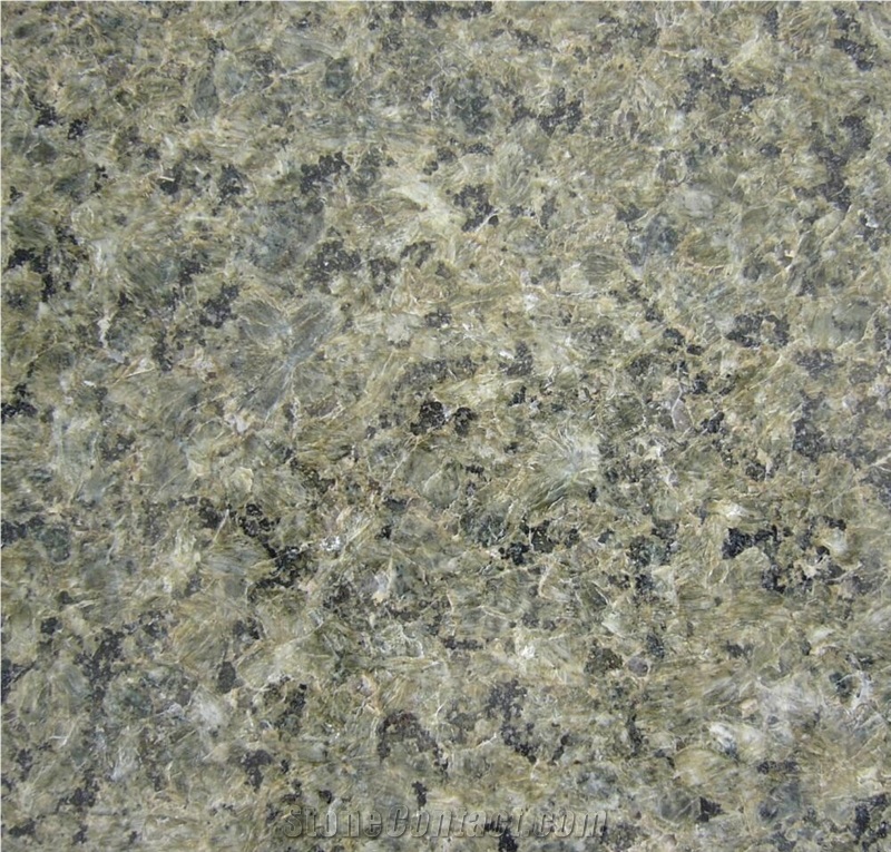 China Desert Green Granite,Tile and Slab for Wall Covering and Floor Use,Direct Factory Own Quarry with Ce Certificate,Cheap Price Natural Stone