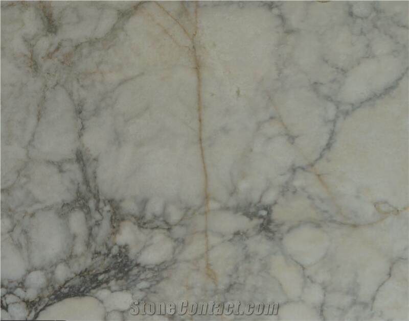 Parnon Light Marble Parnonas Semi White Slab Tile Floor Use