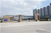 Granite /Marble /Stone Fixing /Cladding /Wall Cladding /Facade Fixing /Wall Panel /Masonry /Undercut Anchor Bolt
