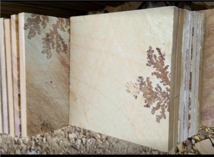 Fossil Sandstone Sawn Cut Pavers