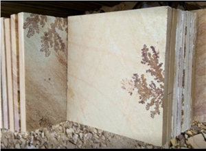 Fossil Sandstone Sawn Cut Pavers