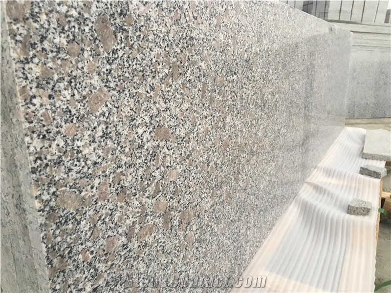 G383 Granite, Zhaoyuan Pearl Flower Granite, Polished Granite Slab, Granite Floor Tile, Step, China Natural Stone,Cheapest Grey Granite Slabs