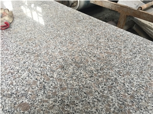 G383 Granite, Zhaoyuan Pearl Flower Granite, Polished Granite Slab, Granite Floor Tile, Step, China Natural Stone,Cheapest Grey Granite Slabs