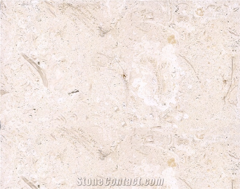Shell Reef Stone - Top Sales