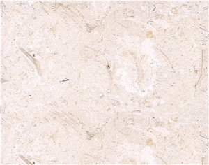 Shell Reef Stone - Top Sales